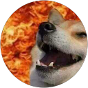 Paulina L profile picture
